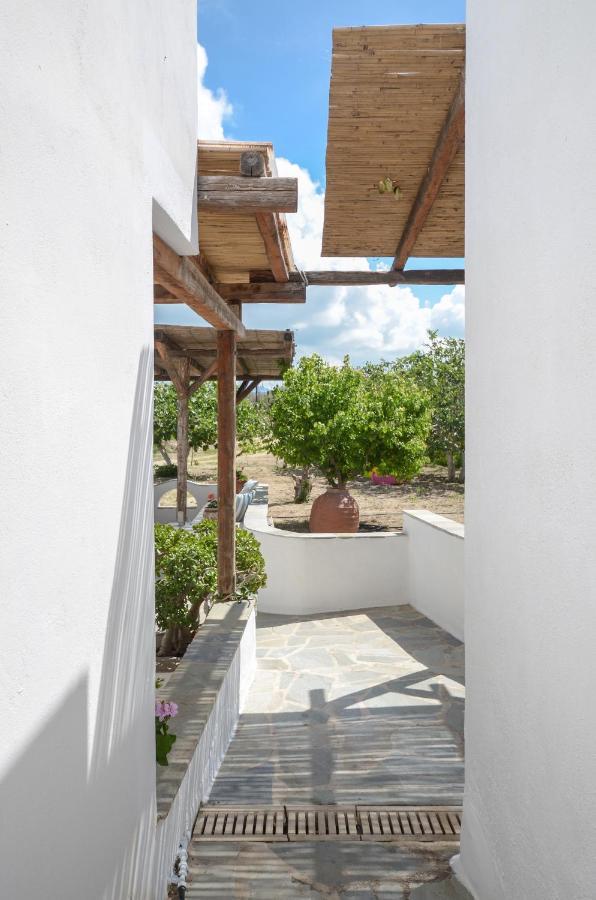 Katerinas Villa Αγία Άννα Εξωτερικό φωτογραφία
